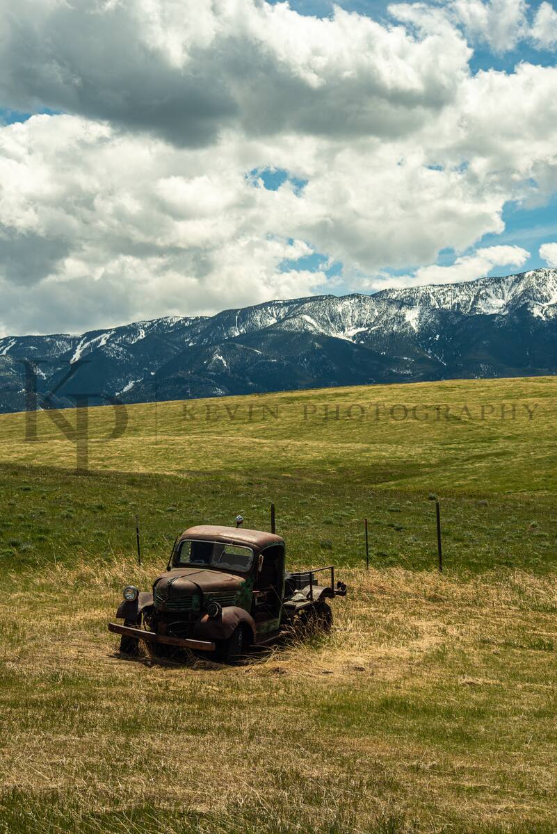 Vintage truck in mountain pasture