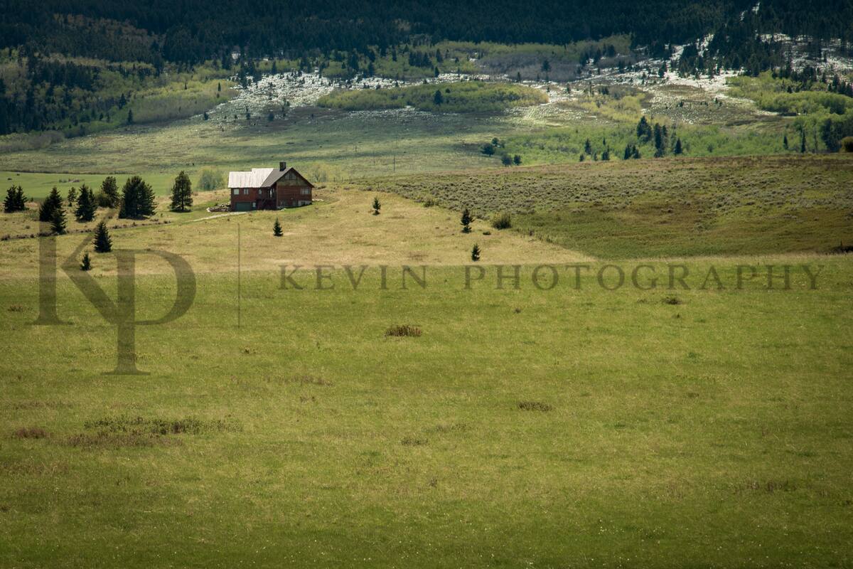 Lone cabin in open Montana meadow